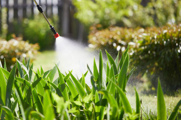 Tamper-Resistant Bait Stations for Rodents in Bystrom