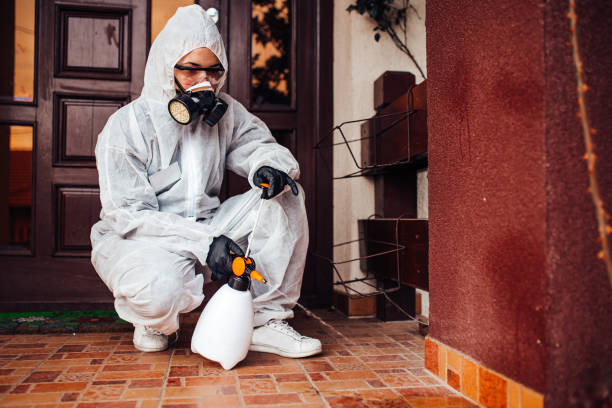 Attic and Crawl Space Rodent Treatment in Bystrom